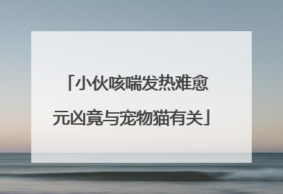 小伙咳喘发热难愈 元凶竟与宠物猫有关